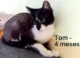 Tom