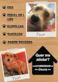 TICO