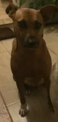 Nina