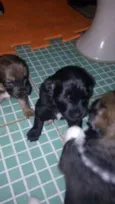 bebes amora