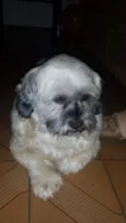 Spike