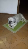 Spike