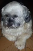 Spike