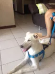 Princesa