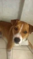 Pequeno