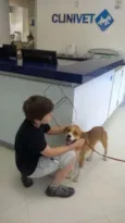 Pequeno