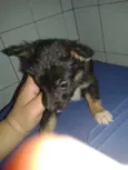 Sem nome