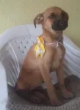 Mel