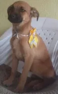 Mel