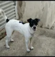 Lili