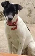Lili