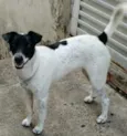 Lili