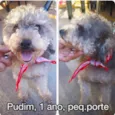 PUDIM