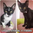 MIKAEL E MARTIN