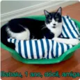 BABALU