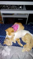 Mel e Barth