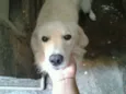 tedy