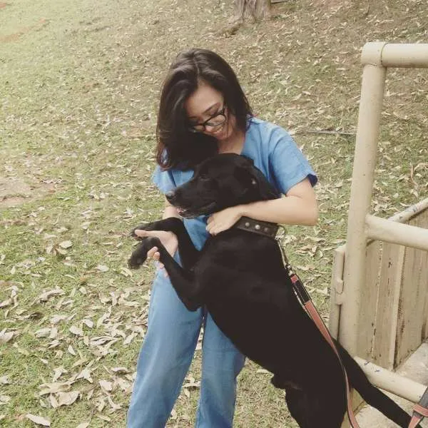 Cachorro raça Vira-lata idade 2 anos nome Dino