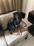 Jack