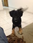 Jack