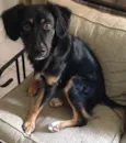 Jack