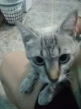Lili