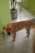 Princesa