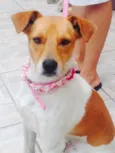 Não sei