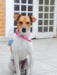 Não sei