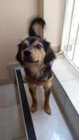 Zé