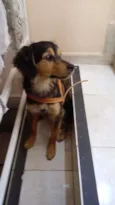Zé