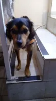 Zé