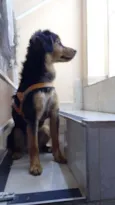 Zé