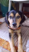 Zé