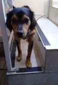 Zé
