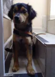 Zé