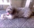 Kirey