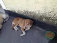 Não informado 
