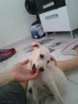 Manu