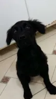 Lolita