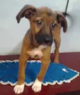 Frederico