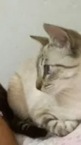 Nina e Lila 