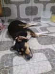 Bruna