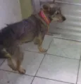 Mélody