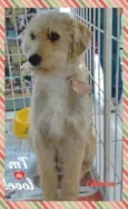 Camilo