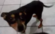 Spayk