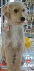 Camilo