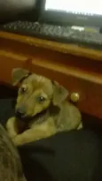 pequena