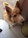 Kiara