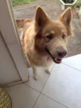 Kiara